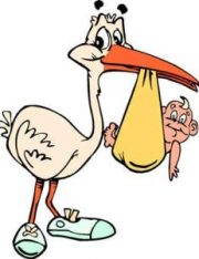 Florida Overturns Ban on Gay Adoption