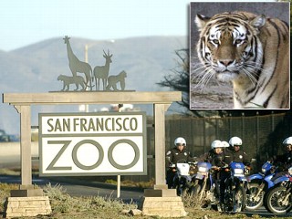 San Francisco Zoo Faces Vicious Legal Battle