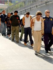 LegalMatch Data Confirms 2008 Federal Estimates for Unauthorized Immigrants