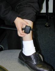 In California, Probation Violators More Likely to Commit Felonies than Misdemeanors