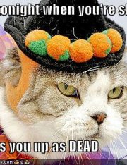 Peace When You're Dead? Pipe Dream, Just a Pipe Dream...