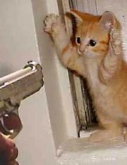 Man Robs Own Mother At Gunpoint, Bad Sons Everywhere Can Now Say At Least They Aren't Him