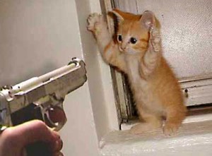 Cat at Gunpoint
