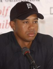 Was Tiger a Victim of Domestic Violence?