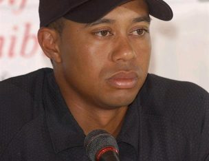 Was Tiger a Victim of Domestic Violence?