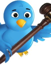 Lawyers on Twitter: Twitteriffic or just Twitterpated?