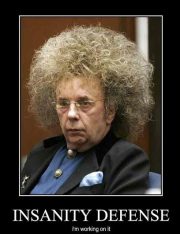 The World Of Creative Criminal Defenses