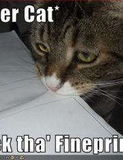 The End Of Mandatory Arbitration Clauses For Consumers?