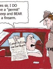 New Gun Control Rulings and Constitutional Implications 