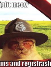 Arrests and Car Searches: When Can Police Do Either?