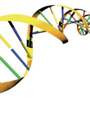 Exonerated After 30 Years in Prison: Implications for the Death Penalty