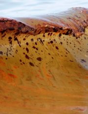 BP Oil Spill Lawsuit Update