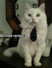 Winning Over Job Interviewer Pro Tip: Don't Be A Jerk