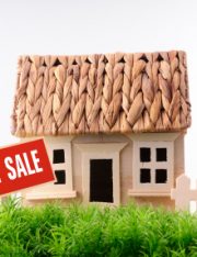 Top 5 Tips Real Estate Agents Should Know to Avoid Foreclosure and Short Sale Lawsuits