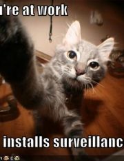 Why Going Through Airport Security is Still Better Than Being Muslim in America