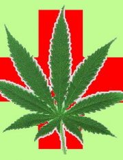 The Endless Medical Marijuana Debate Continues