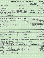 Lawyer Lessons From The Birther Debate