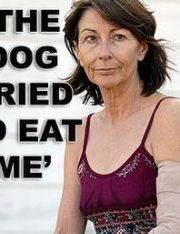 Reliance on Laws Will Not Decrease Your Chances of a Dog Attack