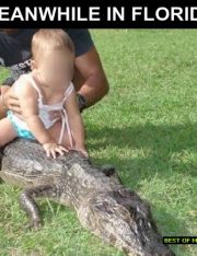 Florida Considering Constitutionality of Harsh Drug Law