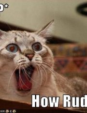 Obvious Alert: Snooty GASP Clothing Chain Is Snooty, Rude, And Insulting