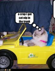 The Future Of Speeding Tickets Is Here And Ready To Violate The Sixth Amendment