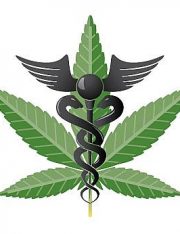 States Lobbying for Relaxed Federal Marijuana Laws