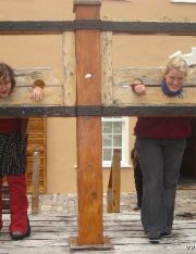 Should Public Shaming Be an Option for Criminal Punishment?