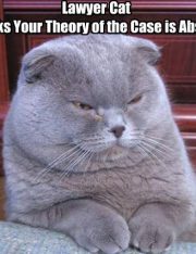 TX Woman Shoots Husband After He Threatens Her Cat