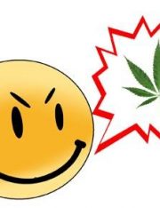 Walmart Employee Fired For Medical Marijuana Use Loses Lawsuit Appeal