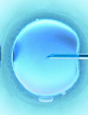 Legal Review of Stem Cell Research