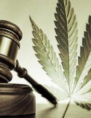 The End of Marijuana Prohibition?