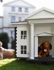 Are Pet Trusts Valid?