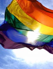 Diverging Paths of the Gay Rights Movement