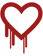 What You Need to Know about the Heartbleed Bug