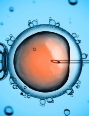 The Legal Consequences of Three-Parent Babies