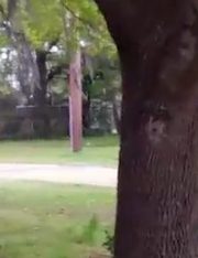 Walter Scott’s Death Should Bring Progress and a Reminder of the Importance of Filming Police Misconduct