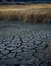 Impact of California's Drought on Water Rights
