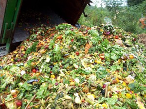 Food Waste