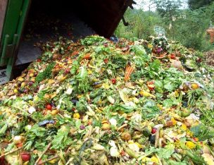 France’s Radical Food Waste Law Is Our Future