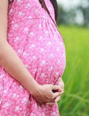 Massachusetts Awards Parental Rights and Paves the Way for Unmarried Same-Sex Partners