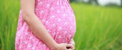 Massachusetts Awards Parental Rights and Paves the Way for Unmarried Same-Sex Partners