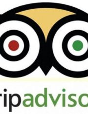 TripAdvisor Under Fire for Blocking Reviews of Rape and Injuries