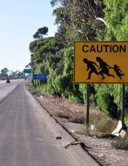 The Law Behind Family Separation of Migrants