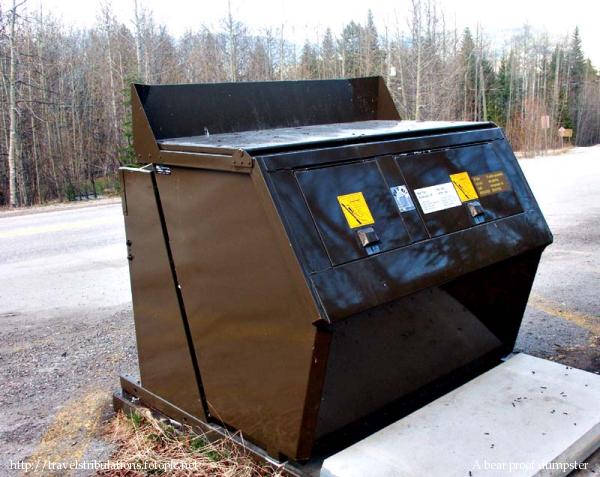 Man Sues Nevada Condominium After Startled By Dumpster Bear