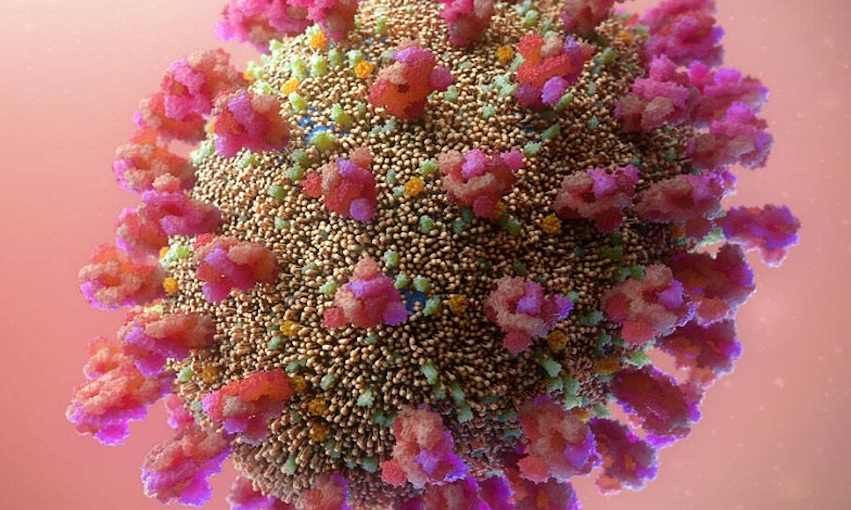 Can Covid Patients Sue For Not Getting Ivermectin?