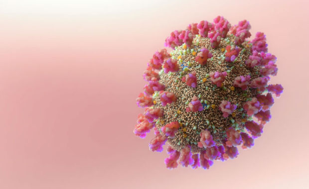 Family Law During Omicron Peak