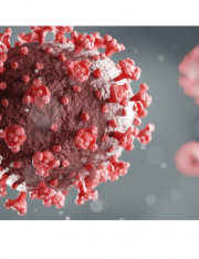 Top Legal Issues Facing Businesses After the Pandemic