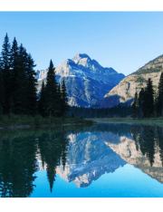 Top 4 Family Law Issues in Montana