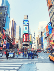 Top 4 Actions a Lawyer Can Assist a New Business Owner With in New York City