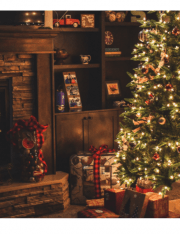 Top 3 Property Law Issues Before the Holidays